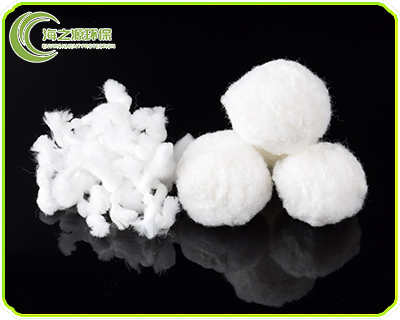 �w�S������ ��������